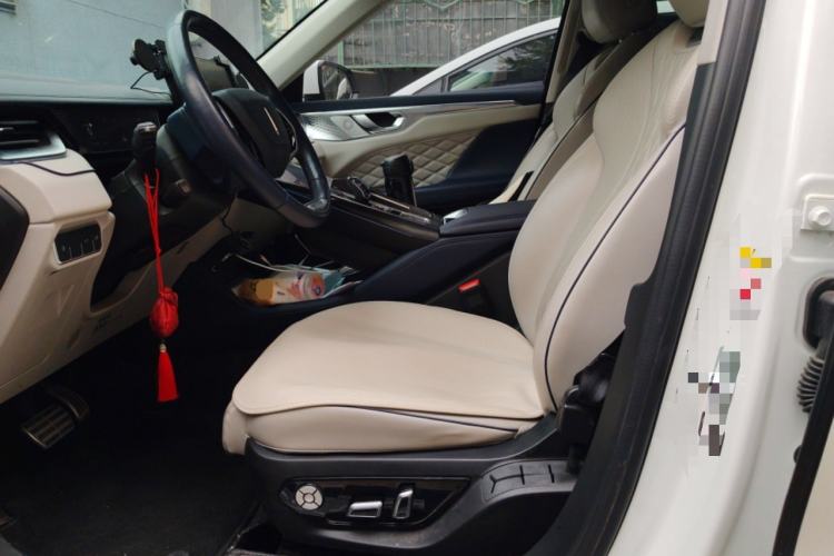 Used Wey Mocha New Energy 2022 1.5T Zero-Anxiety Performance Edition Left Front Seat