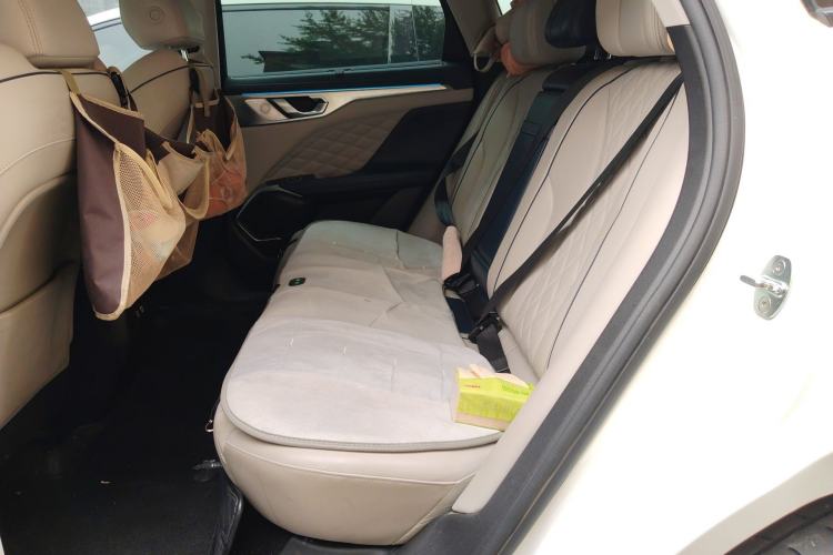 Used Wey Mocha New Energy 2022 1.5T Zero-Anxiety Performance Edition Left Rear Seat