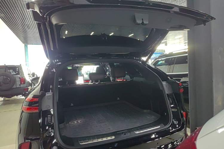Used Wey Mocha New Energy 2023 Two-Wheel Drive Long-Range Version Trunk