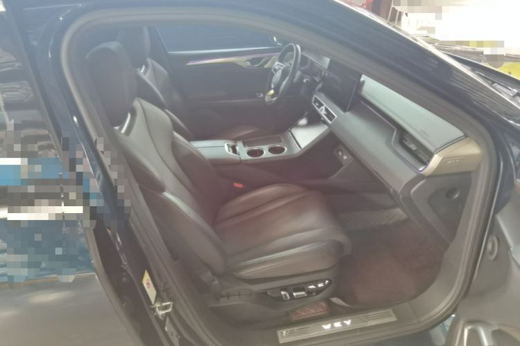 Used Wey Mocha New Energy 2023 Two-Wheel Drive Long-Range Version Right Front Seat
