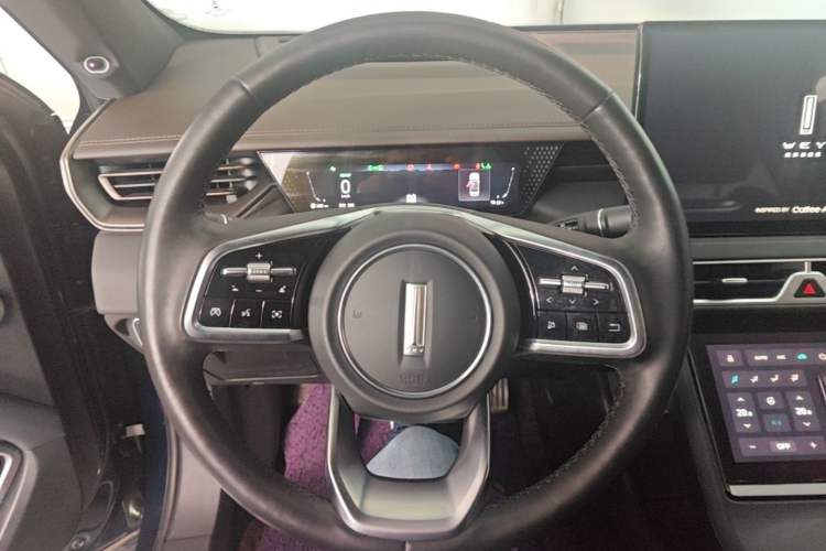 Used Wey Mocha New Energy 2023 Two-Wheel Drive Long-Range Version Steering Wheel