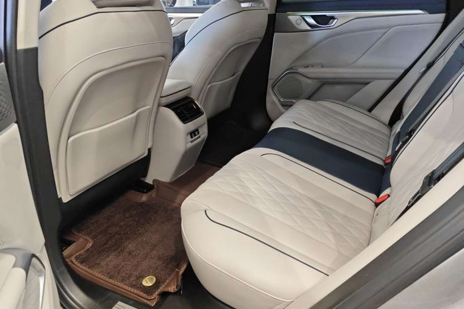 Used Wey Mocha New Energy 2023 Two-Wheel Drive Long-Range Version Left Rear Seat