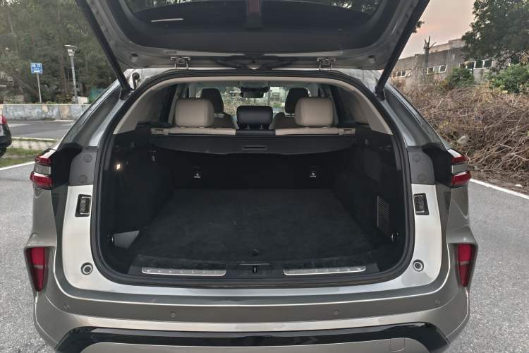 Used Wey Mocha New Energy 2023 Two-Wheel Drive Long-Range Version Trunk