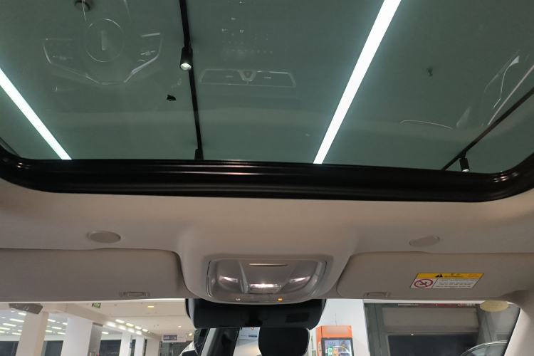 Used Wey Mocha New Energy 2024 Hi4 Four-Wheel Drive Long-Range Version Headliner