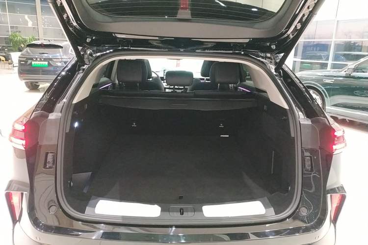 Used Wey Mocha New Energy 2024 Hi4 Four-Wheel Drive Long-Range Version Trunk