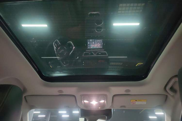 Used Wey Mocha New Energy 2024 Hi4 Four-Wheel Drive Long-Range Version Headliner