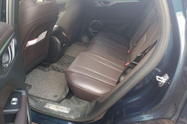 Used Wey Mocha New Energy 2024 Hi4 Four-Wheel Drive Long-Range Version Left Rear Seat