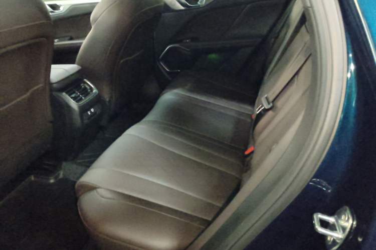 Used Wey Mocha New Energy 2024 Hi4 Four-Wheel Drive Long-Range Version Left Rear Seat