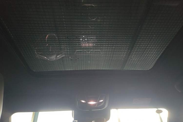 Used Wey Mocha New Energy 2024 Hi4 Four-Wheel Drive Long-Range Version Headliner