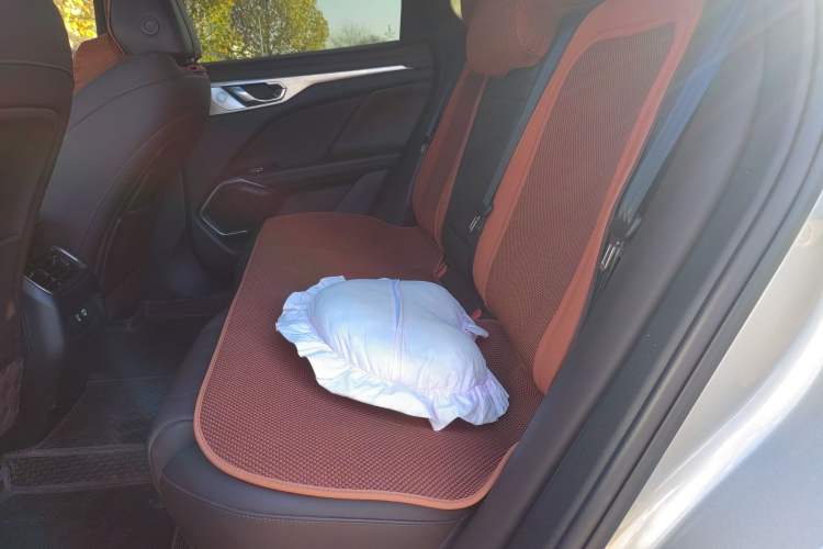 Used Wey Mocha New Energy 2024 Hi4 Four-Wheel Drive Long-Range Version Left Rear Seat