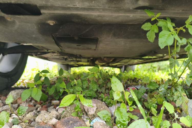 Used Wey P8 2018 2.0T Flagship Model Chassis Front