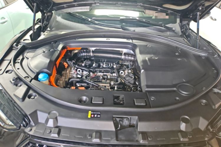 Used Wey P8 2018 2.0T Flagship Model Engine Bay