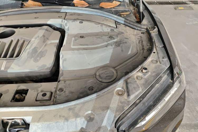 Used Wey P8 2018 2.0T Flagship Model Engine Bay Left