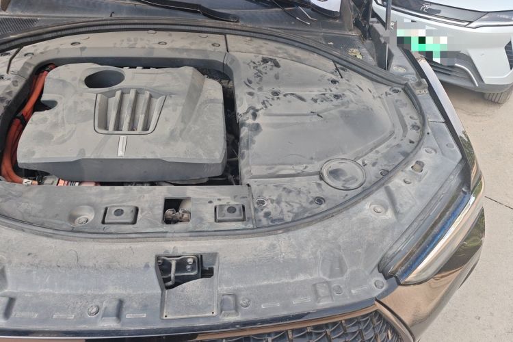 Used Wey P8 2018 2.0T Flagship Model Engine Bay Left