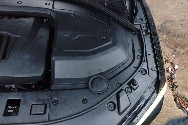 Used Wey P8 2018 2.0T Flagship Model Engine Bay Left