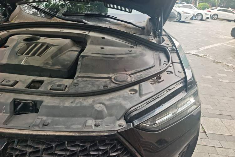 Used Wey P8 2018 2.0T Flagship Model Engine Bay Left
