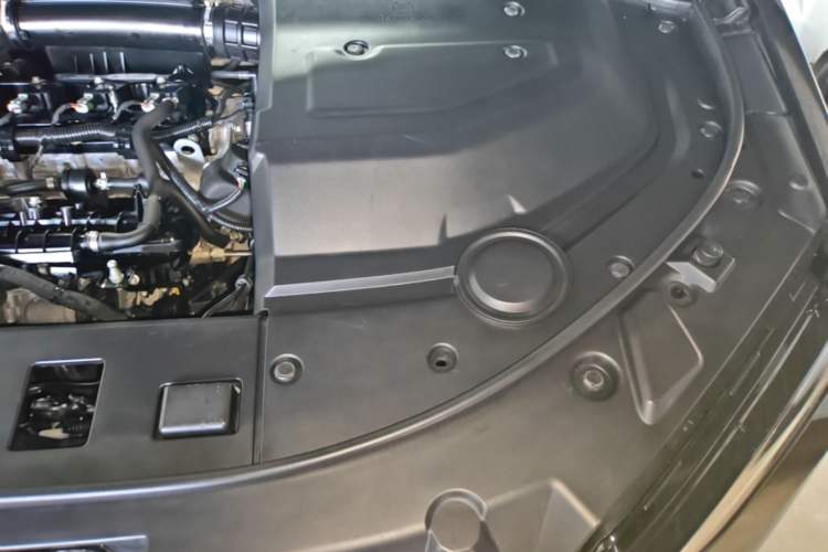 Used Wey P8 2018 2.0T Flagship Model Engine Bay Left