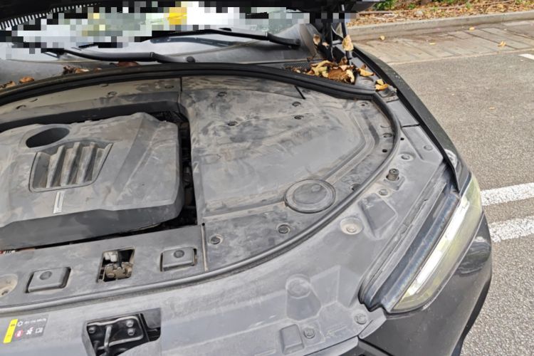 Used Wey P8 2018 2.0T Premium Edition Engine Bay Left
