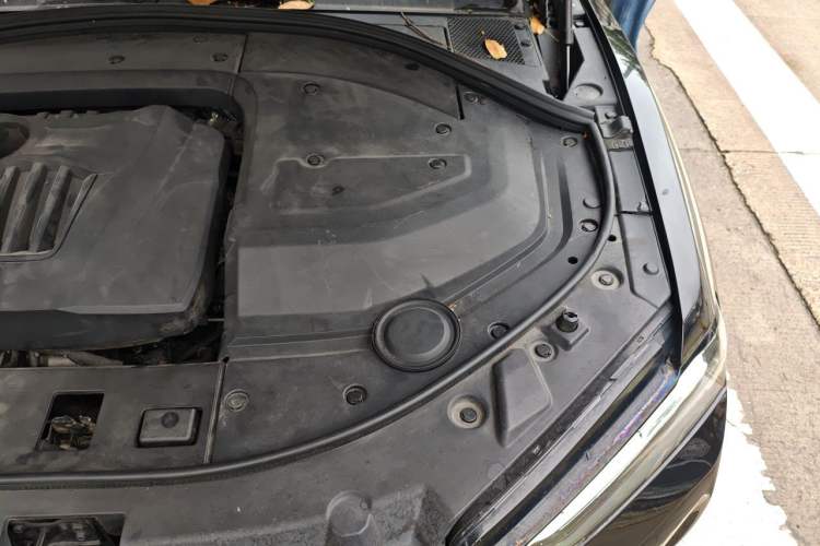 Used Wey P8 2018 2.0T Flagship Model Engine Bay Left