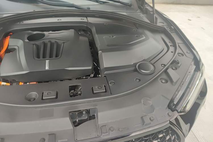 Used Wey P8 2018 2.0T Flagship Model Engine Bay Left