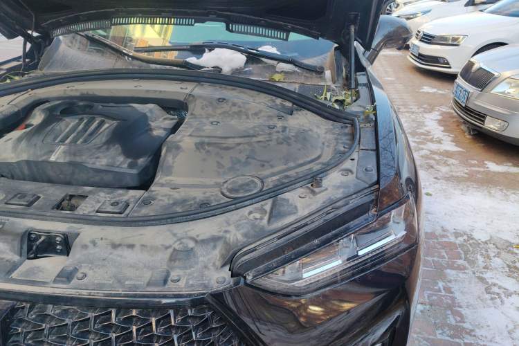 Used Wey P8 2018 2.0T Flagship Model Engine Bay Left