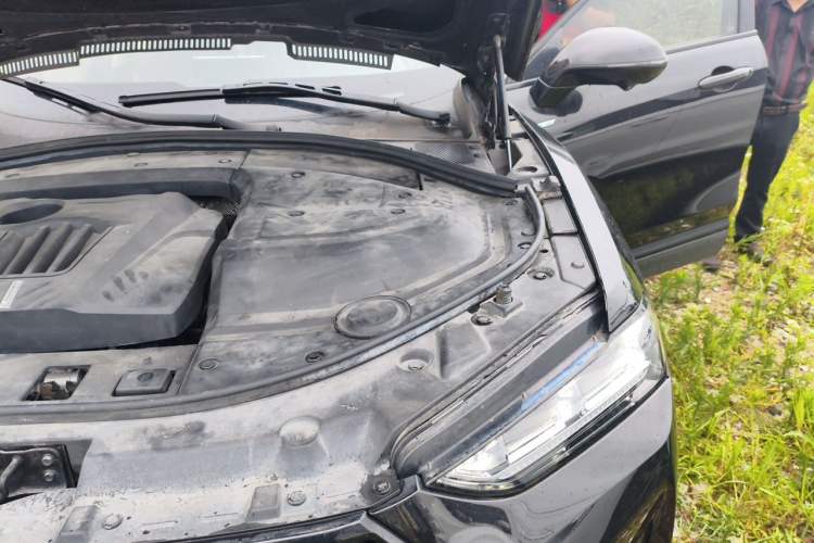 Used Wey P8 2018 2.0T Flagship Model Engine Bay Left