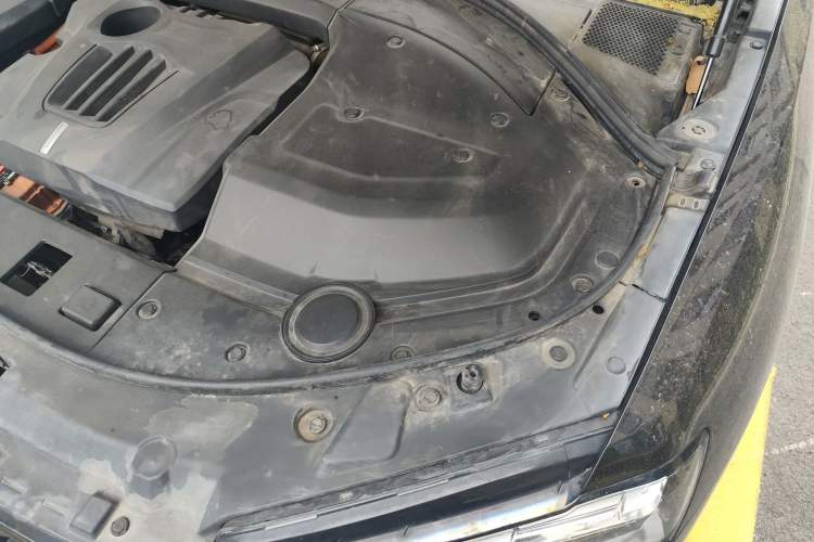 Used Wey P8 2018 2.0T Flagship Model Engine Bay Left