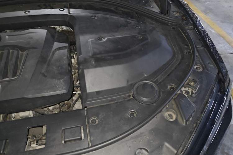 Used Wey P8 2018 2.0T Flagship Model Engine Bay Left