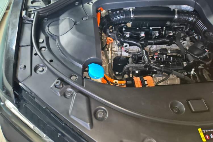 Used Wey P8 2018 2.0T Flagship Model Engine Bay Right