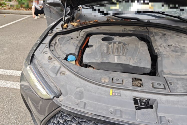 Used Wey P8 2018 2.0T Premium Edition Engine Bay Right