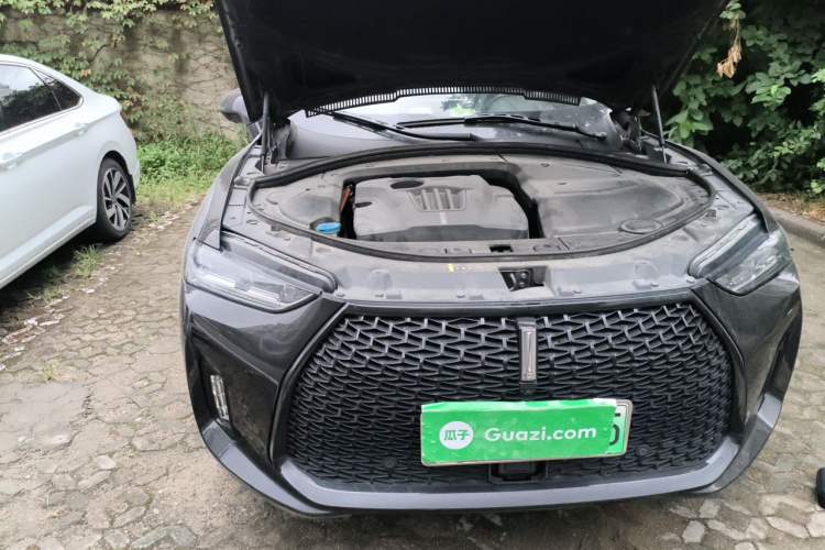 Used Wey P8 2018 2.0T Flagship Model Engine Bay Right