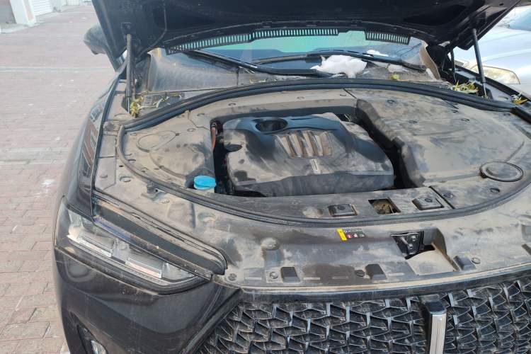 Used Wey P8 2018 2.0T Flagship Model Engine Bay Right