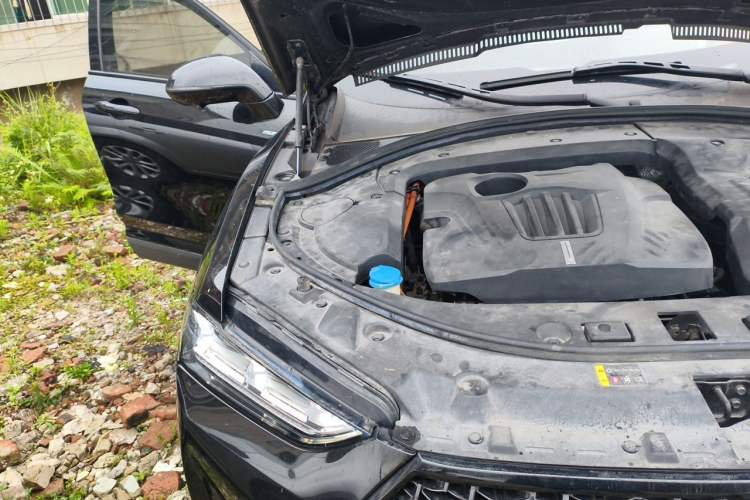 Used Wey P8 2018 2.0T Flagship Model Engine Bay Right