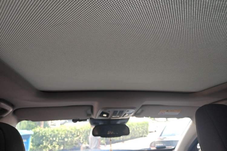 Used Wey P8 2018 2.0T Flagship Model Headliner
