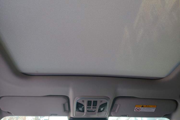 Used Wey P8 2018 2.0T Flagship Model Headliner
