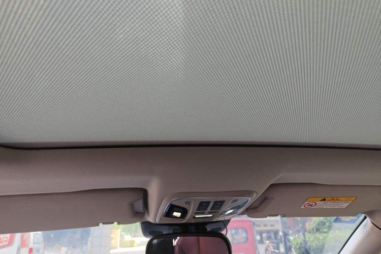 Used Wey P8 2018 2.0T Flagship Model Headliner