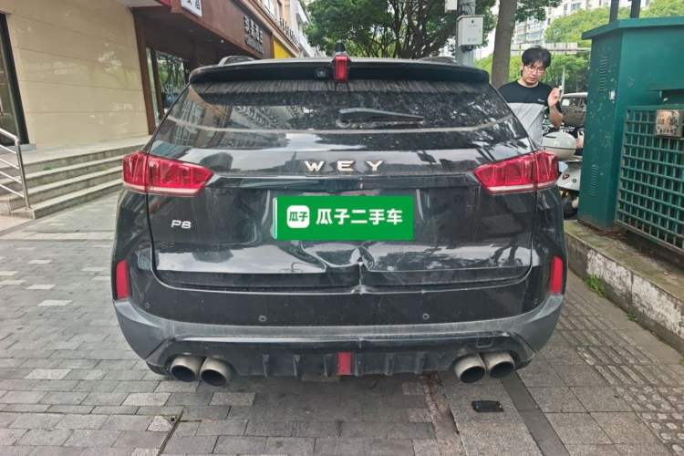 Used Wey P8 2018 2.0T Flagship Model Rear