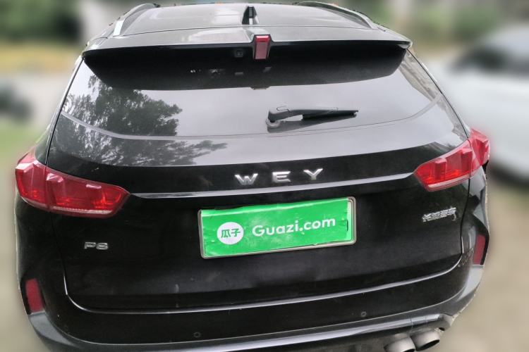 Used Wey P8 2018 2.0T Flagship Model Rear