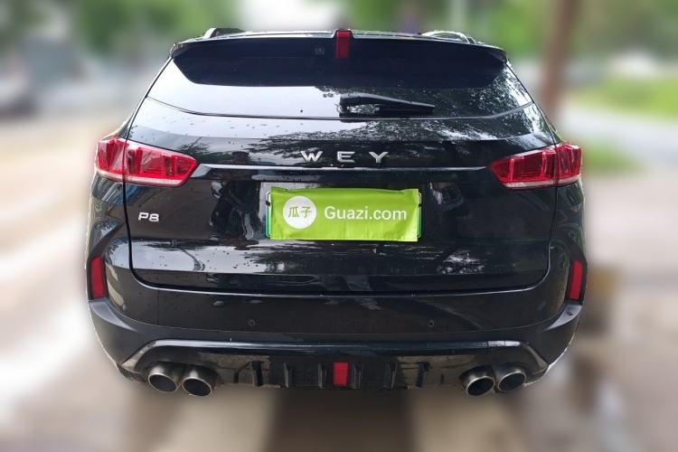 Used Wey P8 2018 2.0T Flagship Model Rear