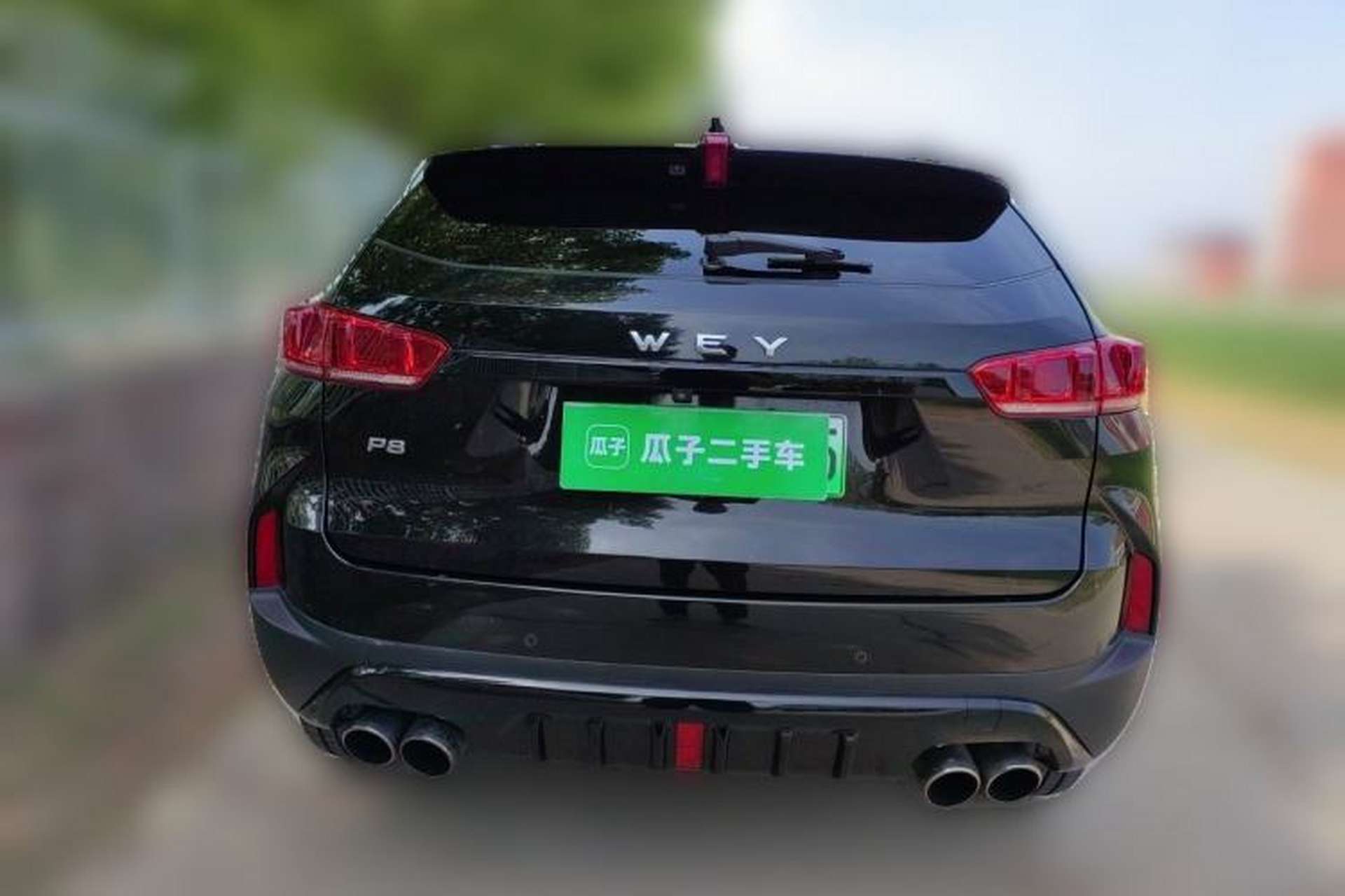 Used Wey P8 2018 2.0T Flagship Model Rear