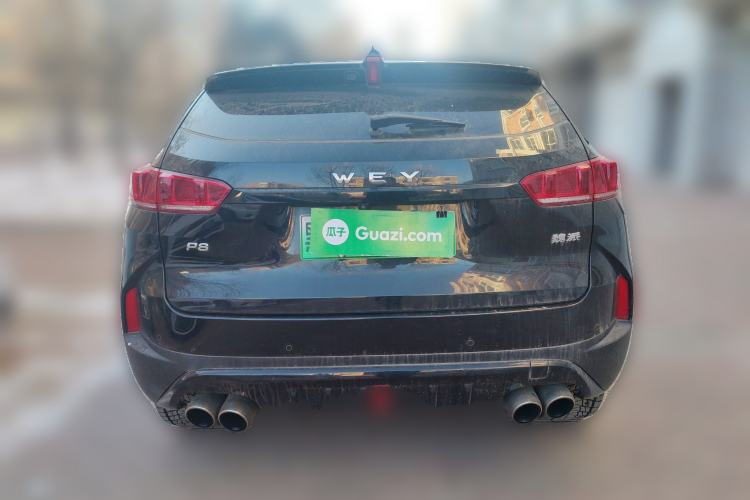 Used Wey P8 2018 2.0T Flagship Model Rear