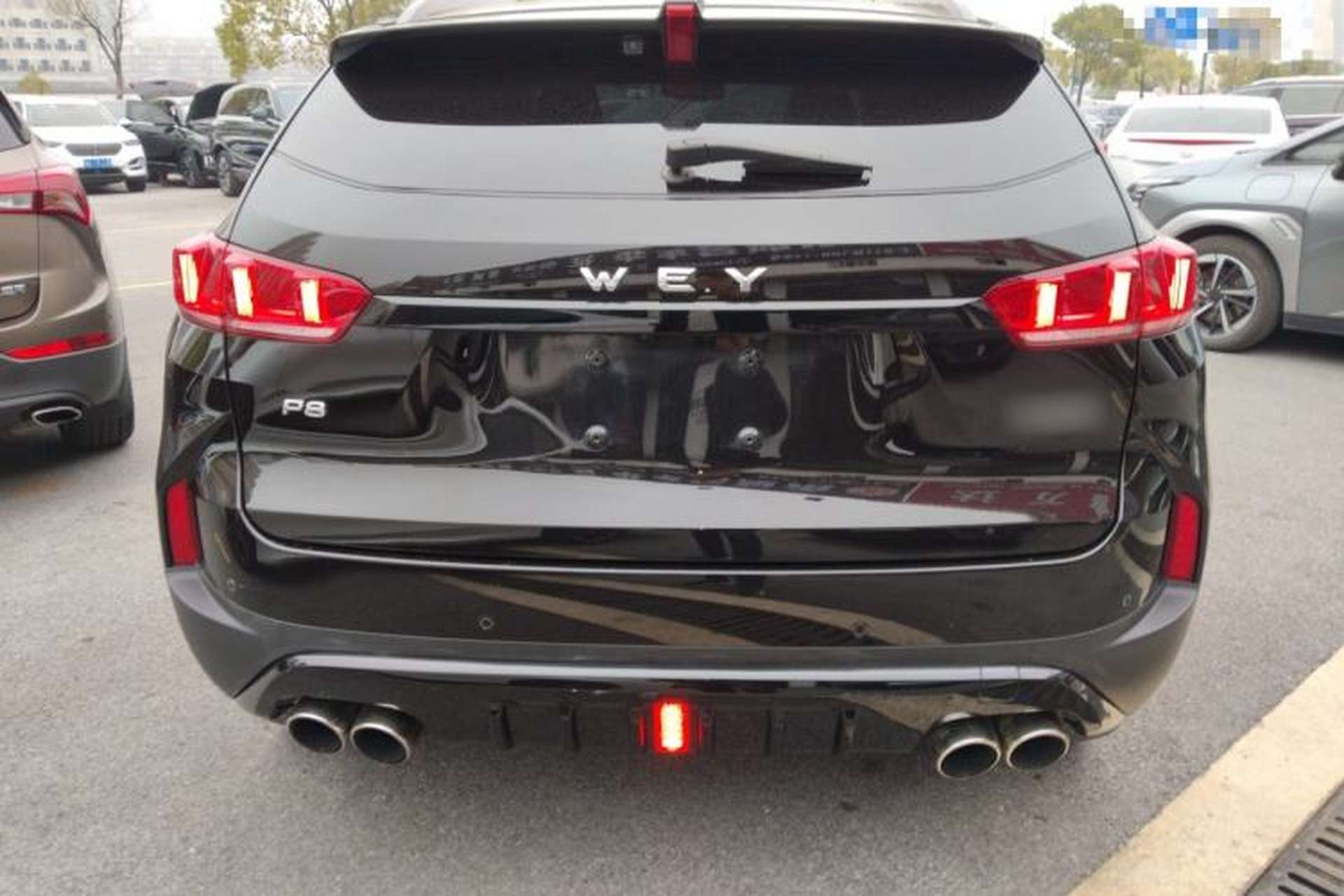 Used Wey P8 2018 2.0T Flagship Model Rear