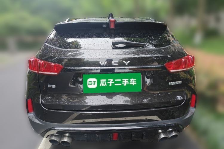 Used Wey P8 2018 2.0T Flagship Model Rear