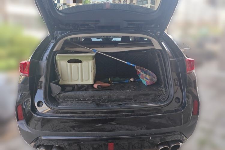 Used Wey P8 2018 2.0T Flagship Model Trunk