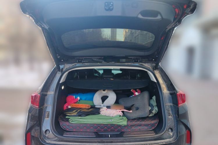 Used Wey P8 2018 2.0T Flagship Model Trunk