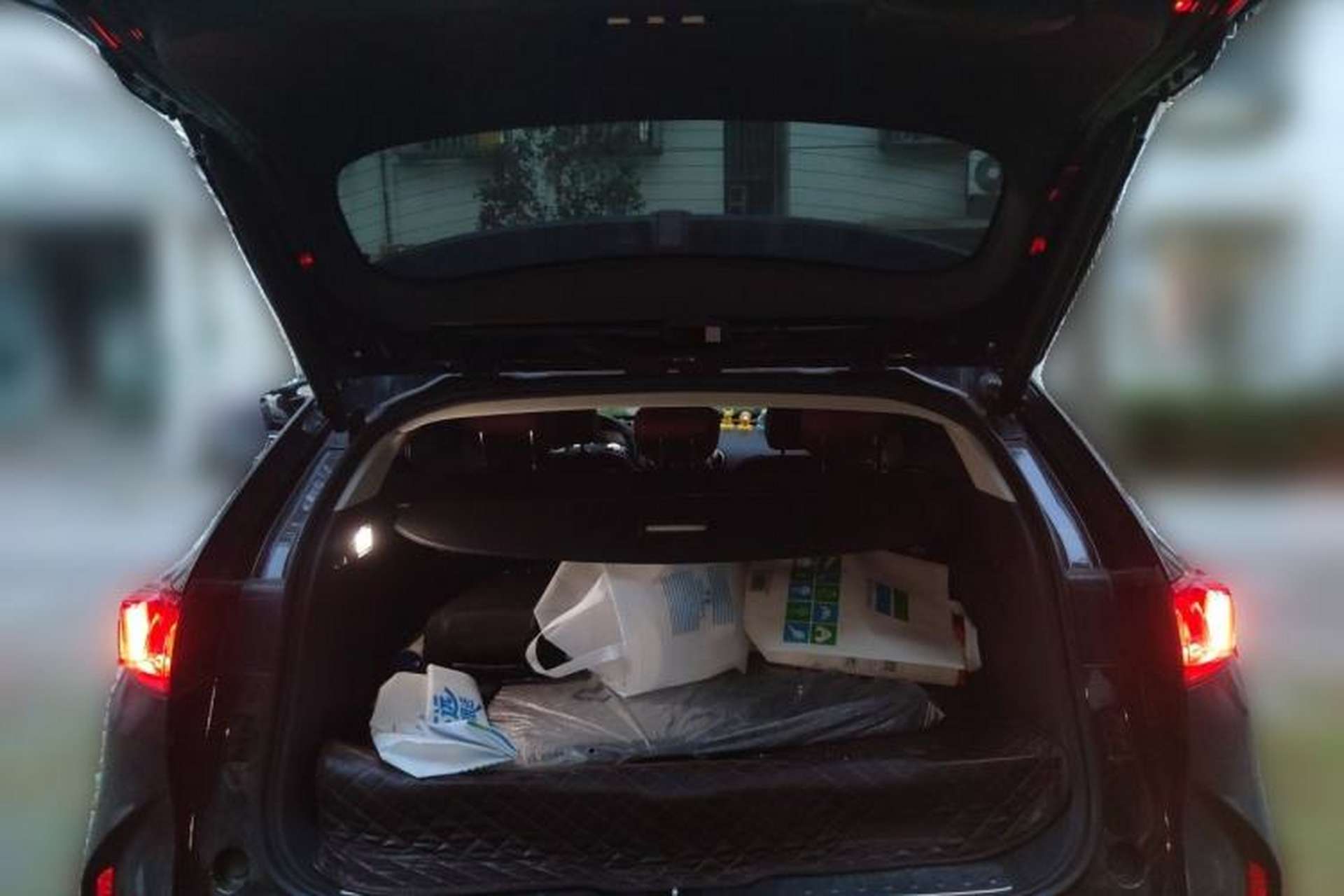 Used Wey P8 2018 2.0T Flagship Model Trunk