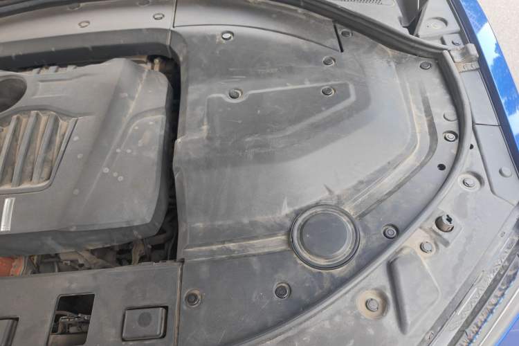 Used Wey P8 2018 2.0T Flagship Model Engine Bay Left