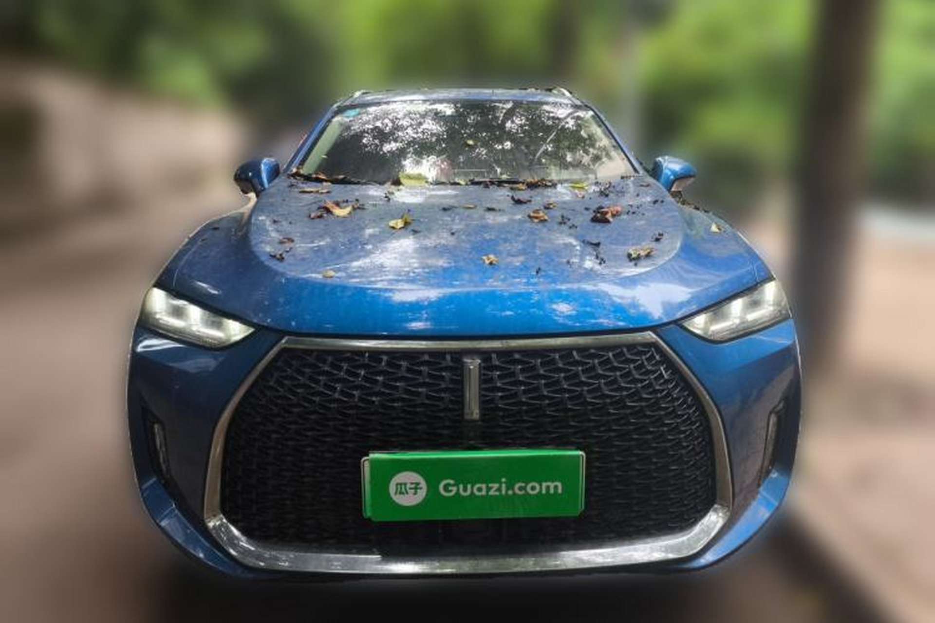 Used Wey P8 2018 2.0T Flagship Model Front