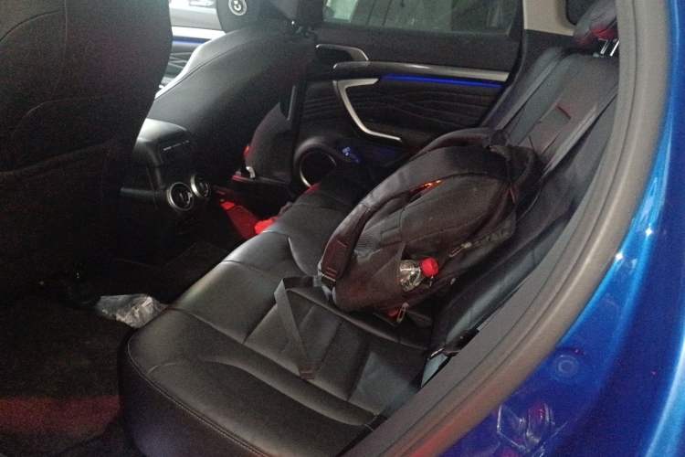 Used Wey P8 2018 2.0T Flagship Model Left Rear Seat