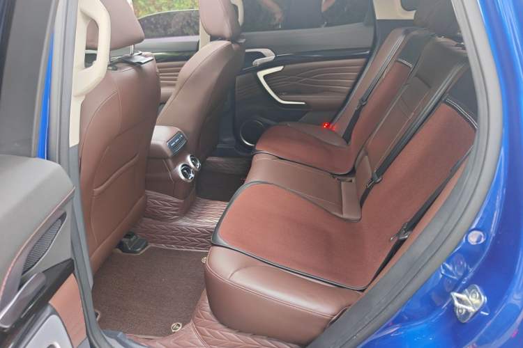 Used Wey P8 2018 2.0T Flagship Model Left Rear Seat